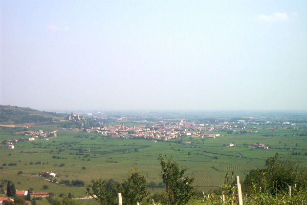 Soave